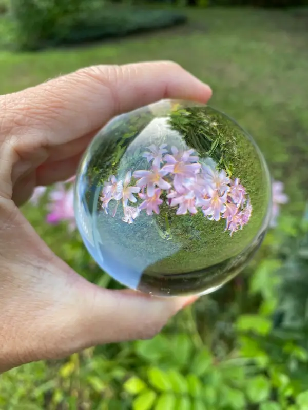 Amy holding a crystal ball with August Blessing Lilies, symbolizing clarity and focusing on life’s blessings