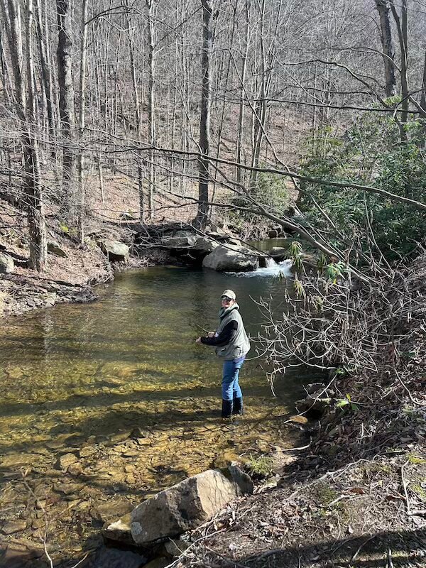 Amy fishing for native trout in a scenic mountain stream surrounded by forests and natural beauty.