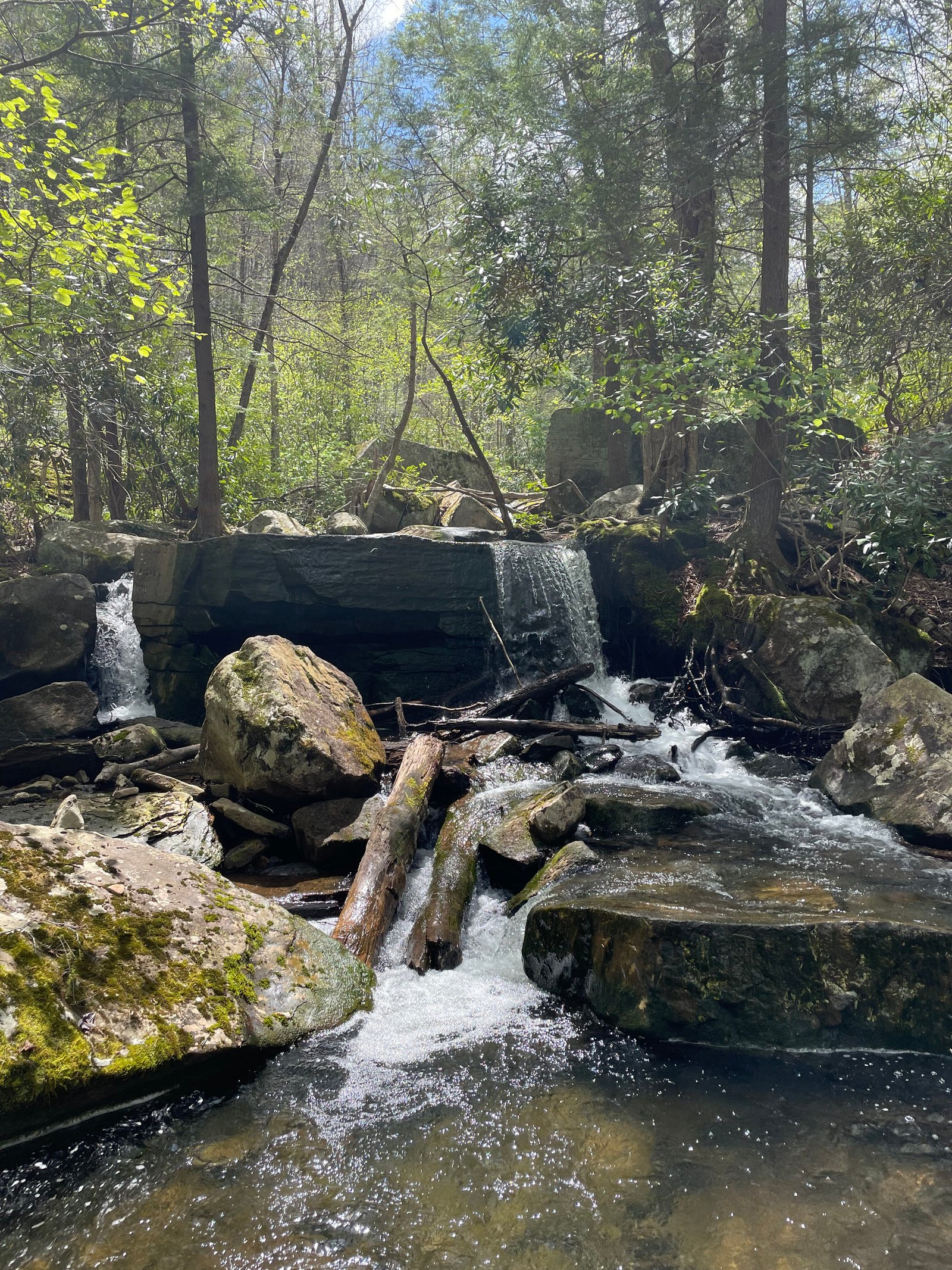 Table Falls waterfall flowing through a mountain stream surrounded by forest, symbolizing a journey of growth and transformation.