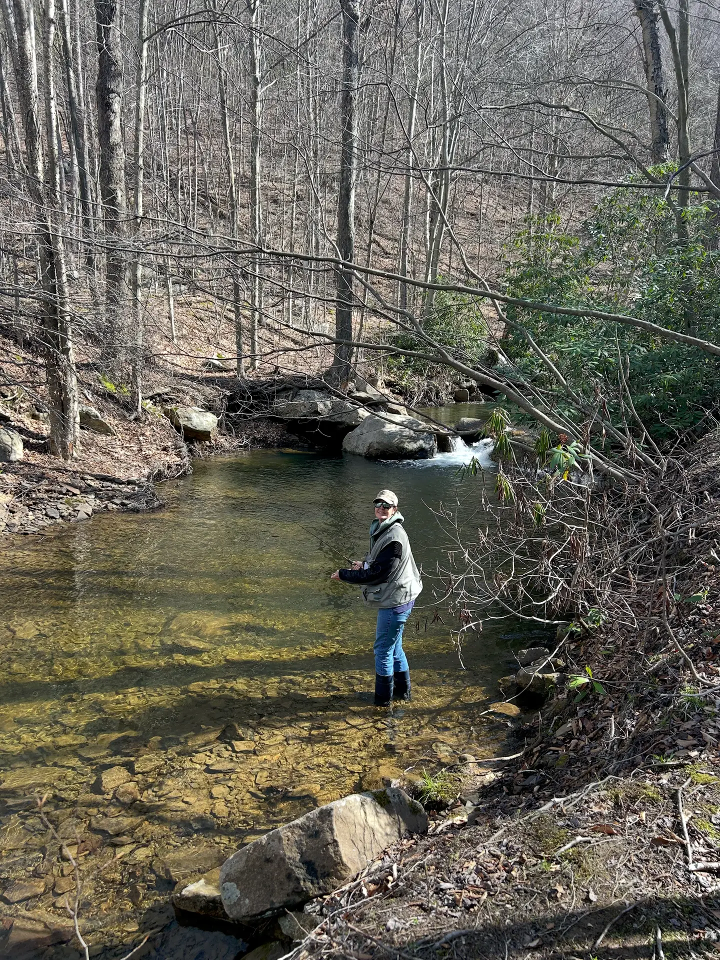 Woman fishing for native brook trout in a clear stream in the Pennsylvania Wilds