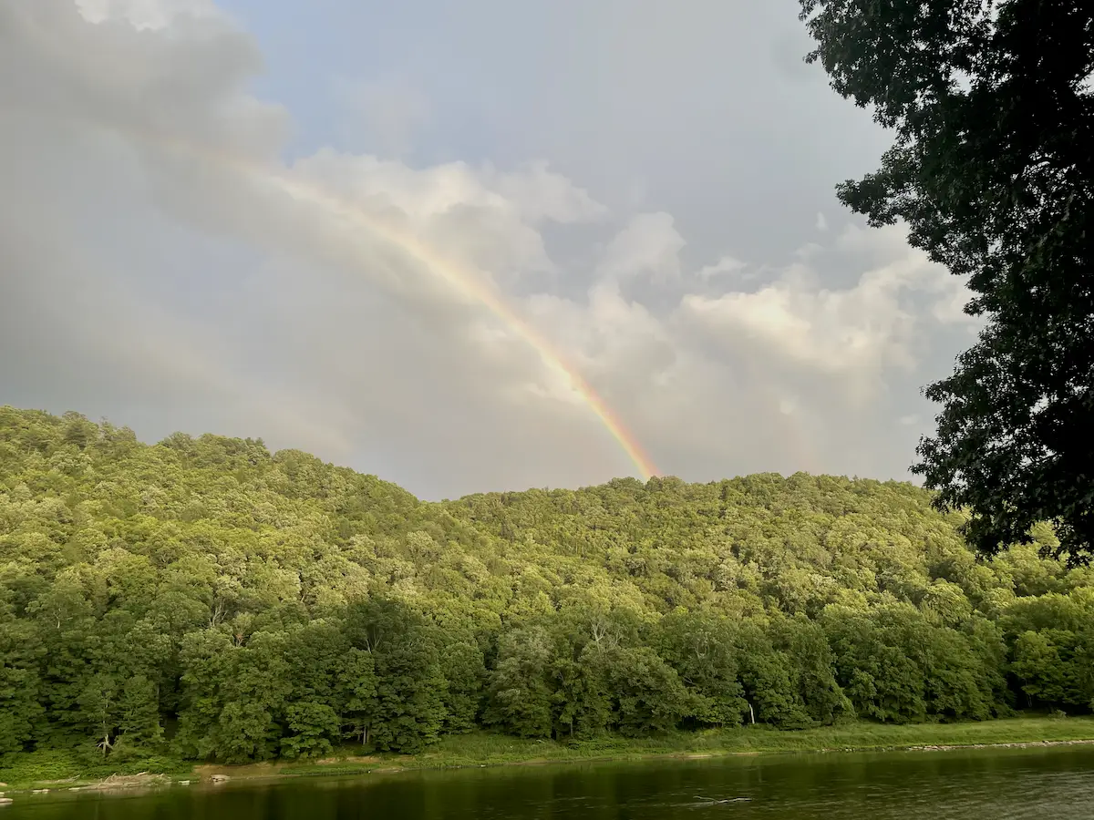 Rainbow appearing over a sunlit forest beneath storm clouds
